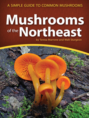 Mushrooms of the Northeast - ebook
